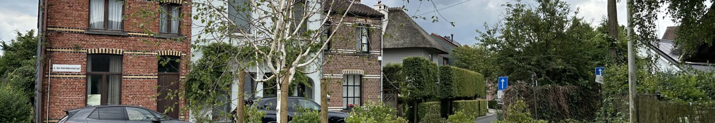 Pleintje in de Onderwijsstraat te Hove is groener dan ooit